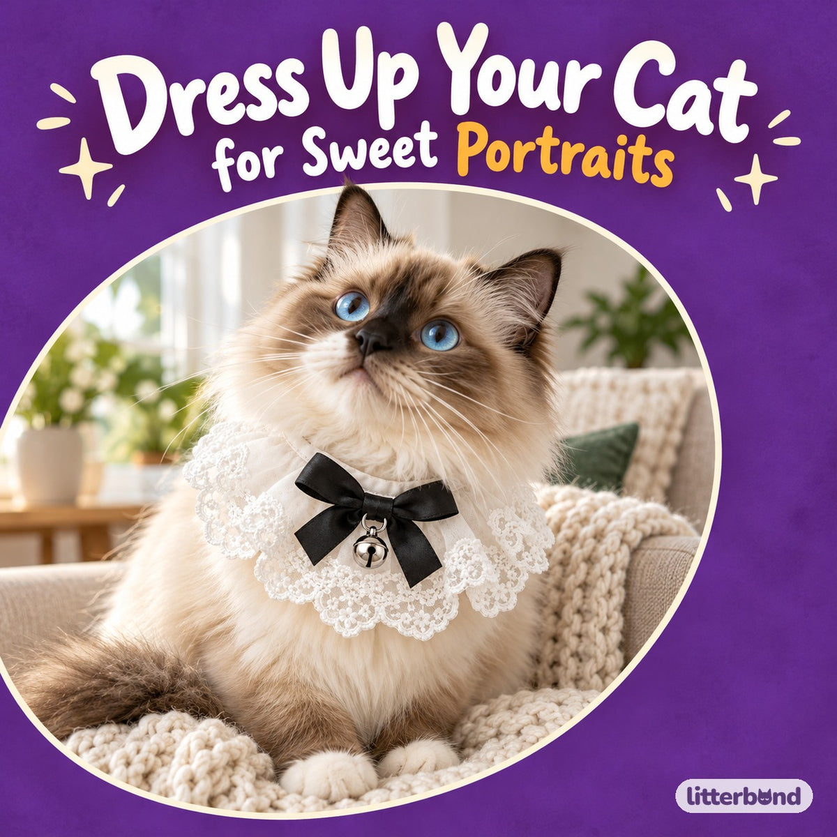 Bow and Strawberry Tie-On Photo Collars on a cat