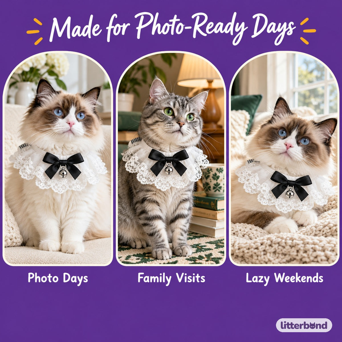 Bow and Strawberry Tie-On Photo Collars on a cat at home