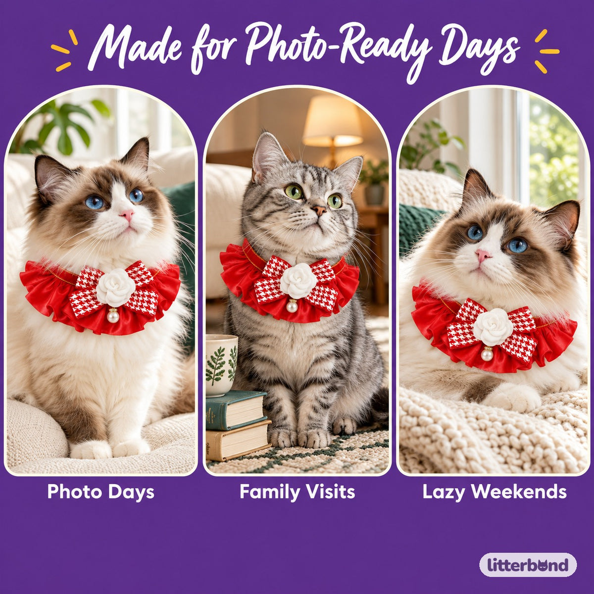 Red Satin Bow Ruffle Collar on a cat at home
