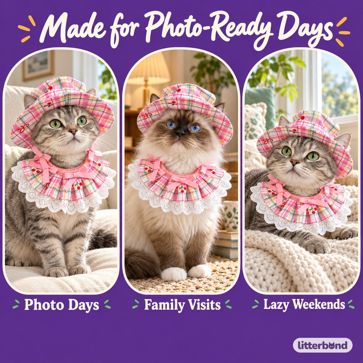 Cherry Plaid Hat Sets for Photos on a cat at home