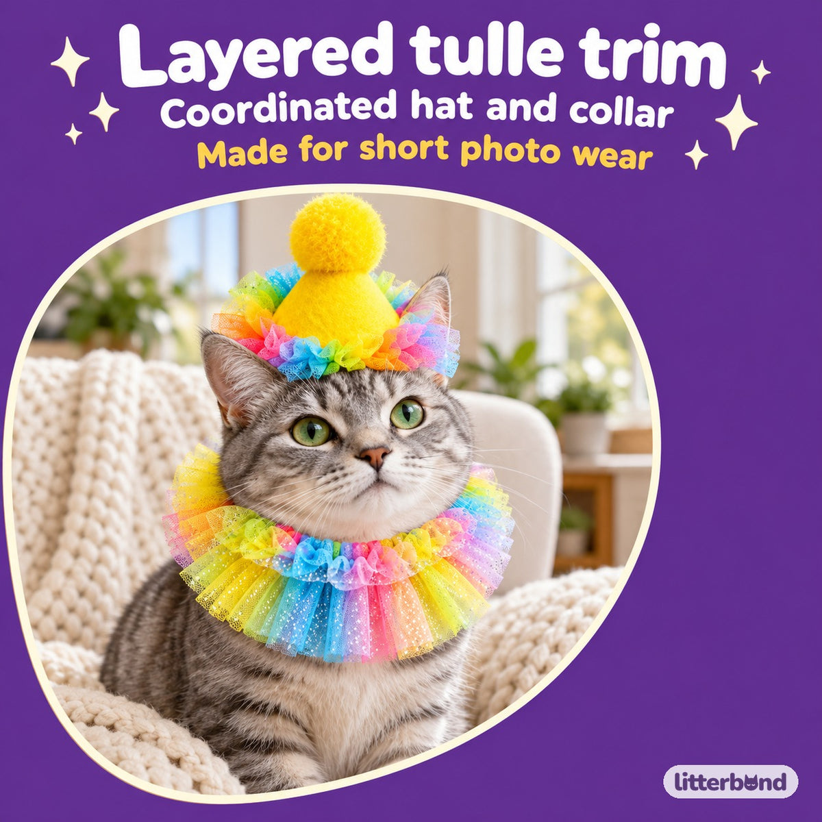Rainbow Tulle Party Hat Set on a cat