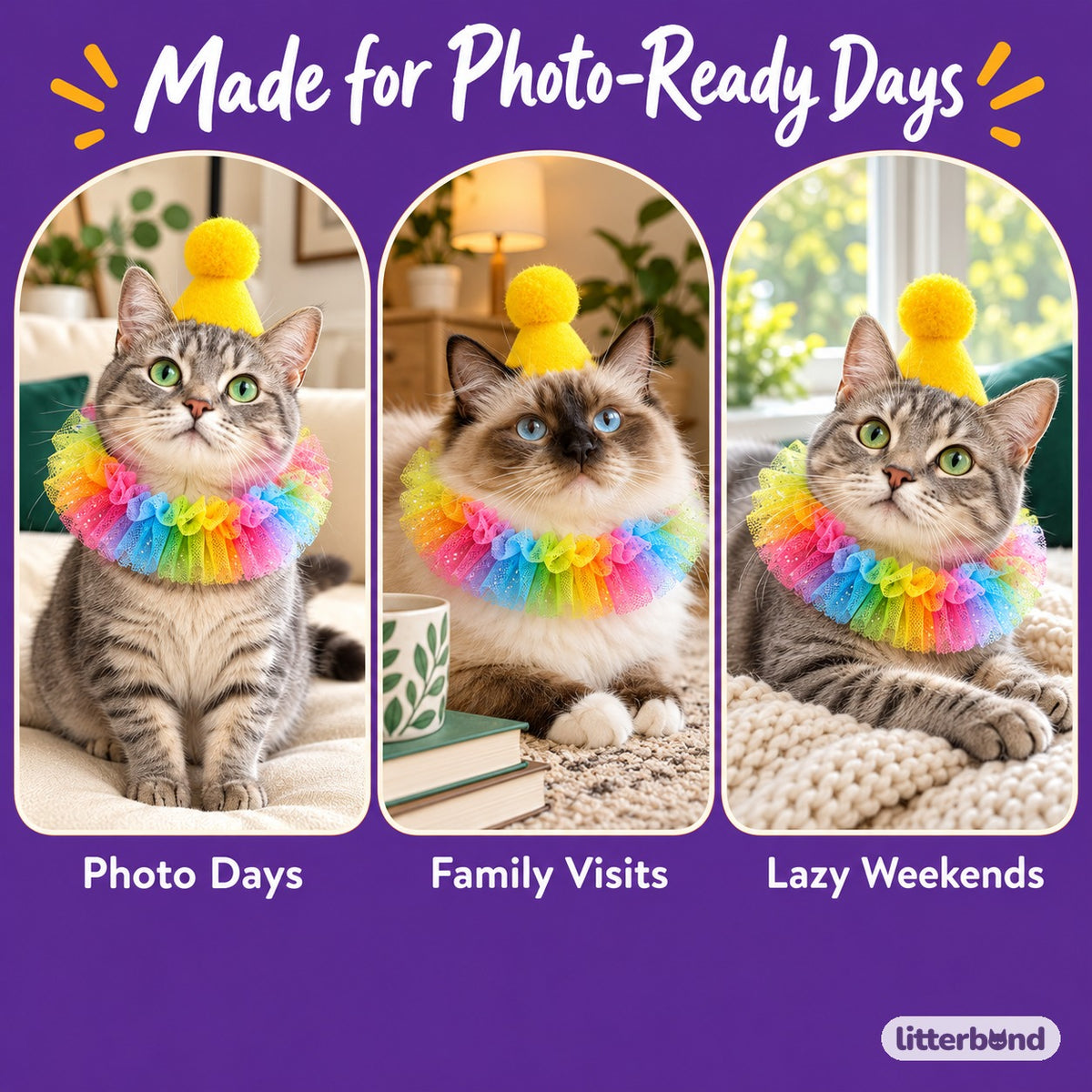 Rainbow Tulle Party Hat Set on a cat at home