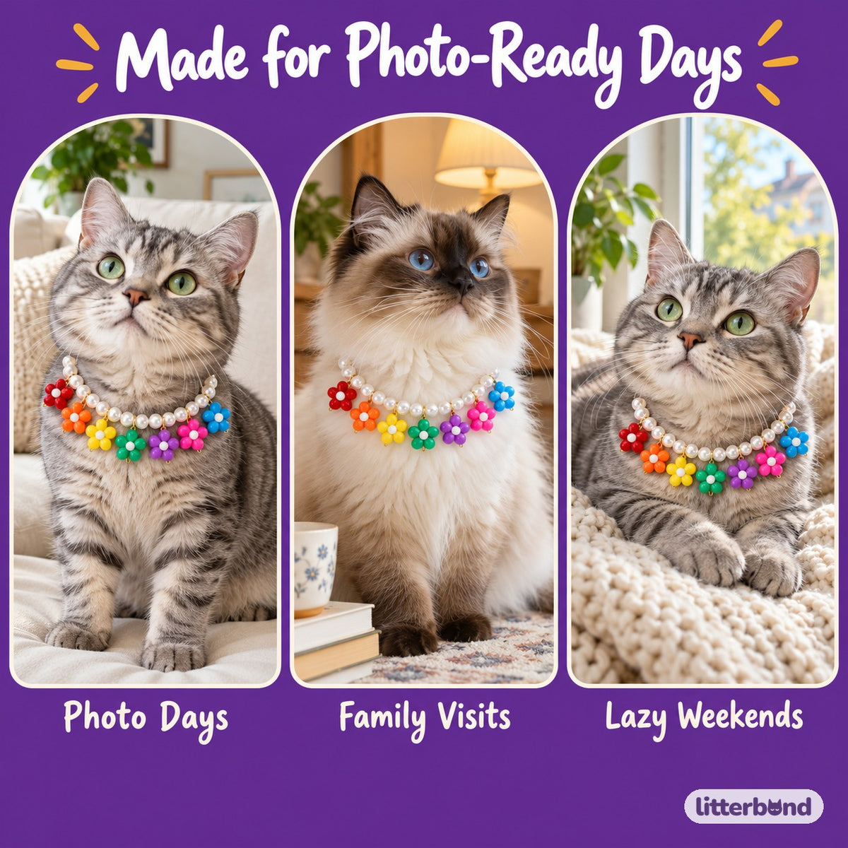Rainbow Flower Pearl Necklace on a cat at home