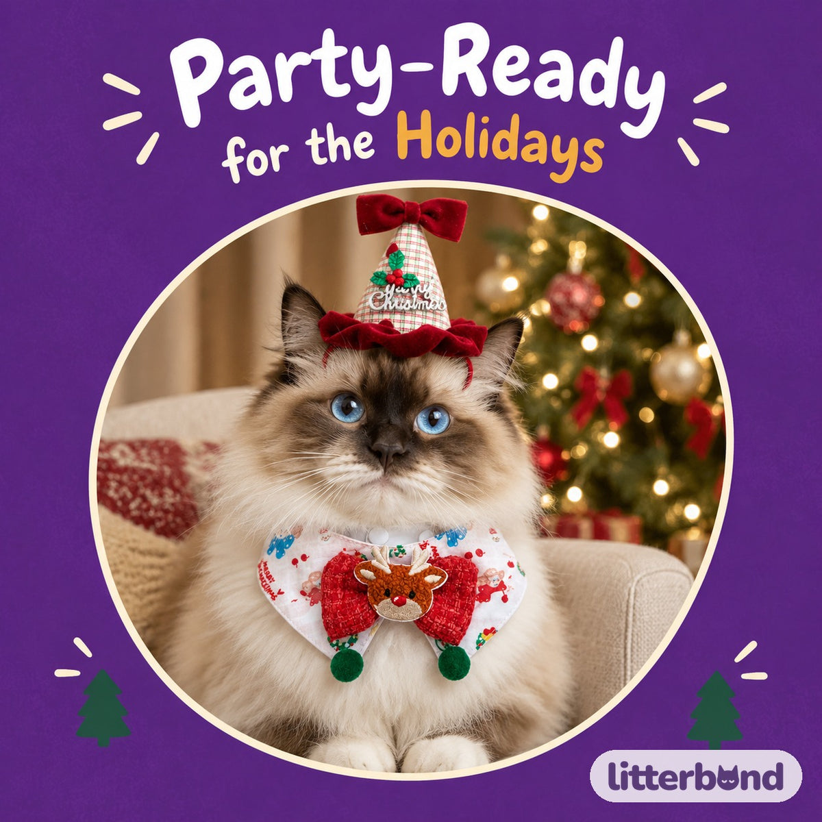 Christmas Party Hat & Bow Bib Set on a cat