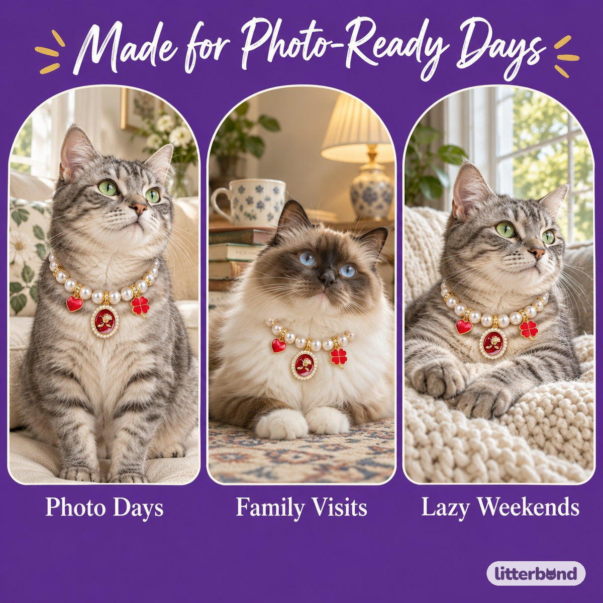 Rose Charm Pearl Necklace for Photos on a cat at home