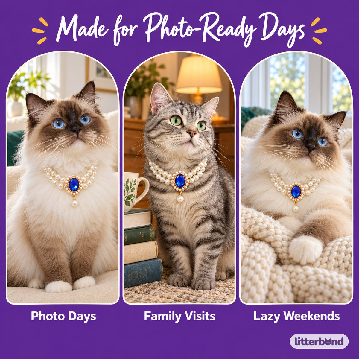 Gemstone Double-Pearl Photo Necklace on a cat at home