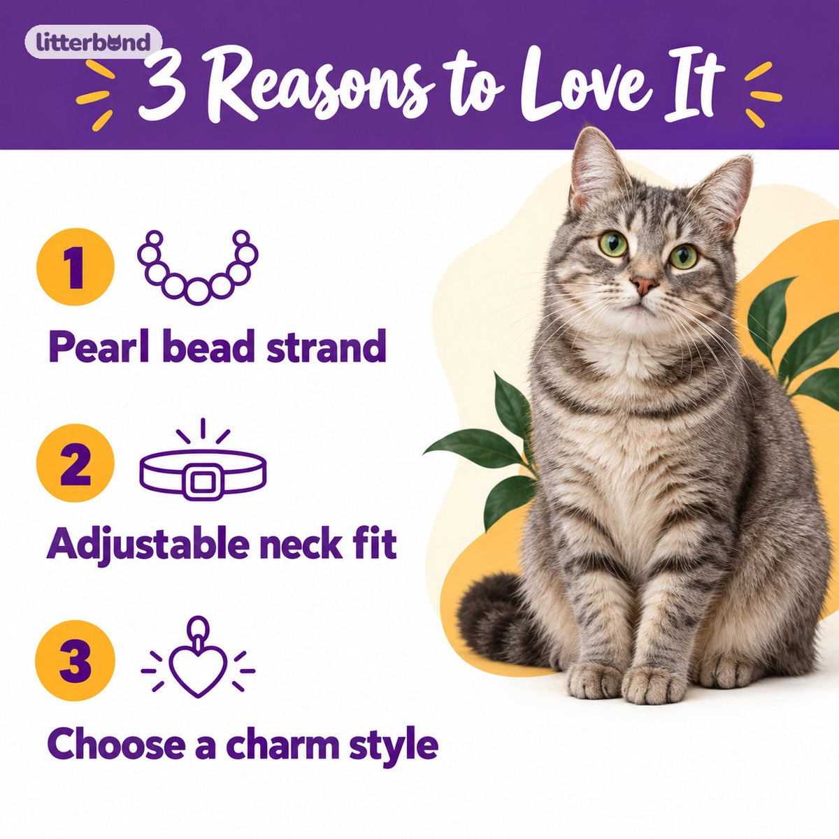 Pearl Charm Photo Collar - 5 reasons to love it