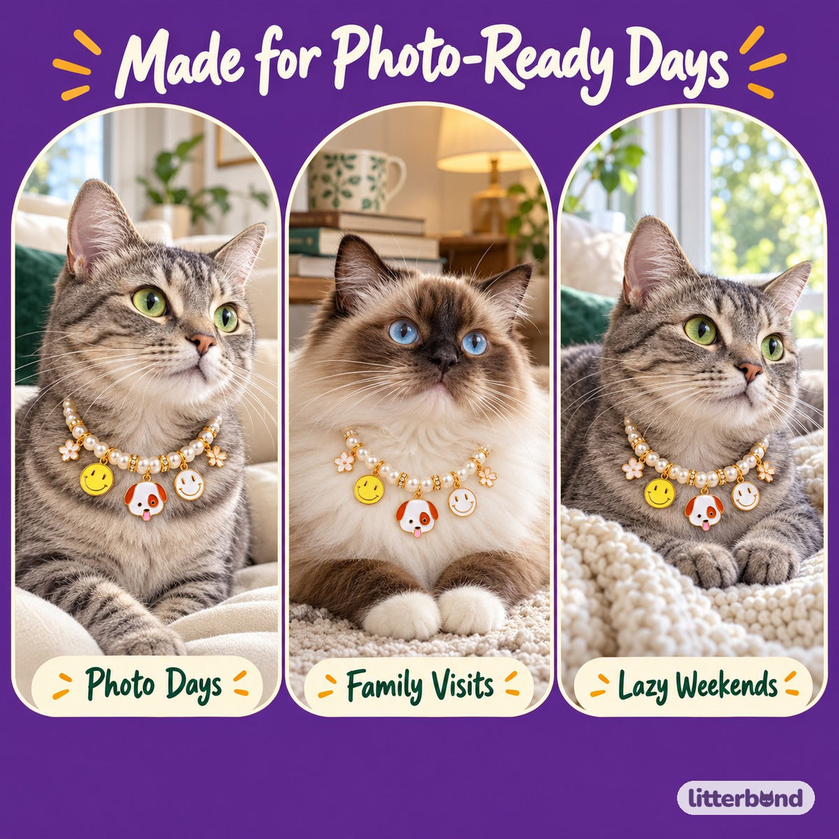 Pearl Charm Photo Collar on a cat at home