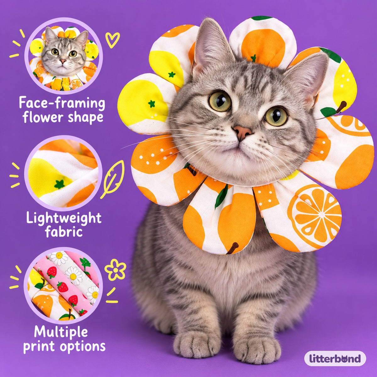 Flower Face-Frame Collar for Cat Photos on a cat