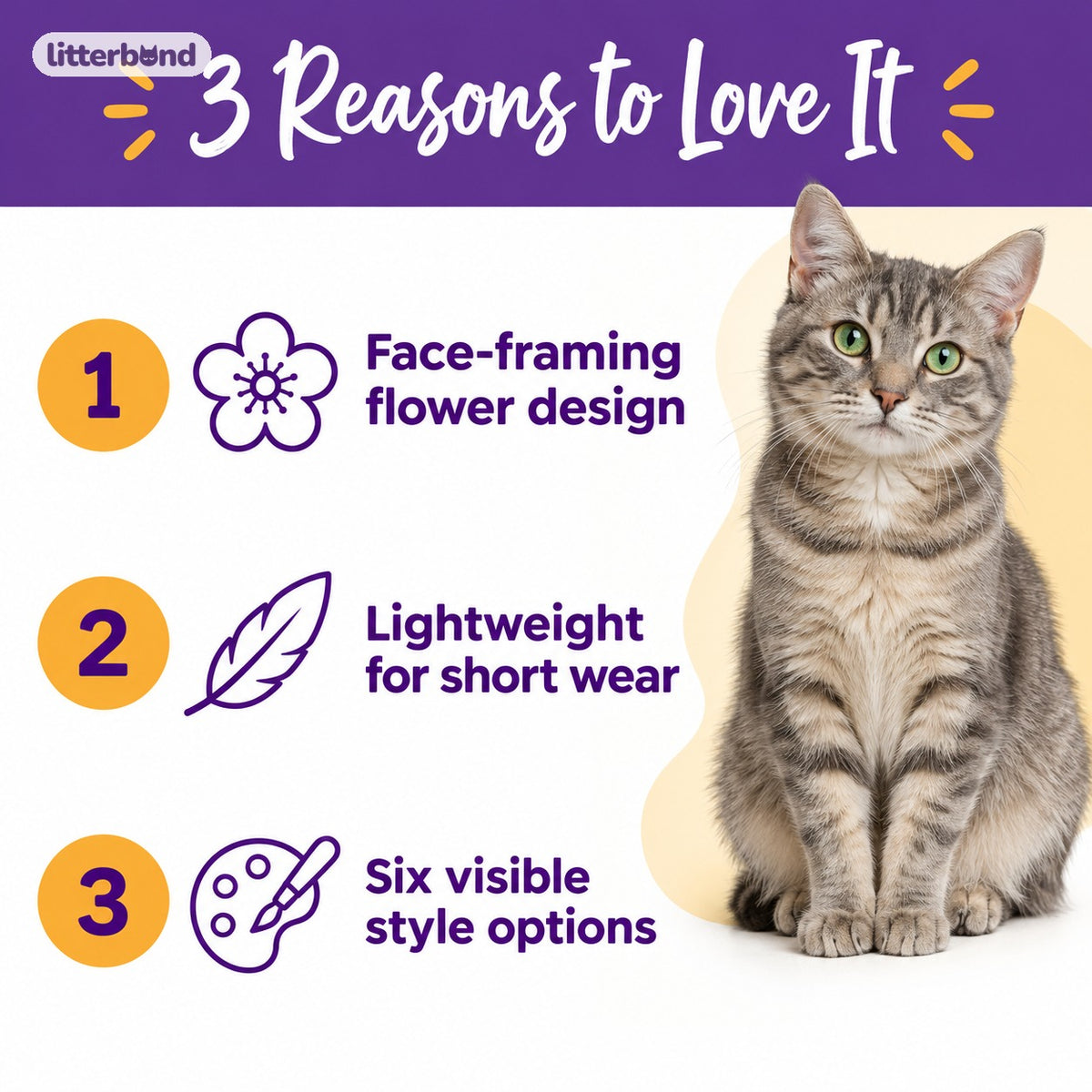 Flower Face-Frame Collar for Cat Photos - 5 reasons to love it