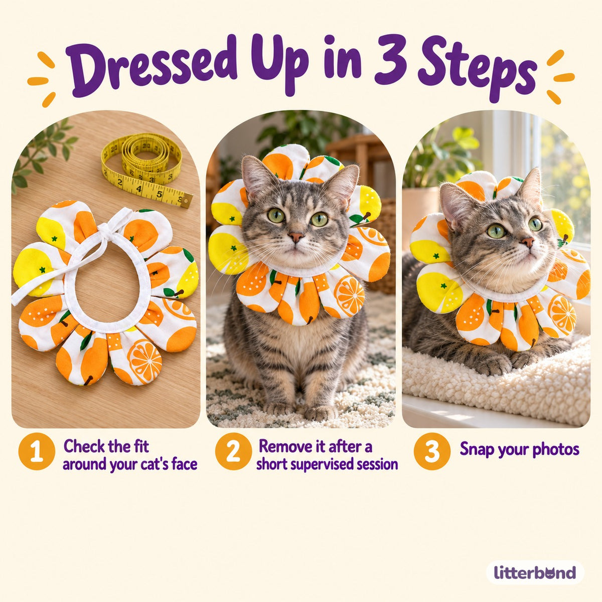 Flower Face-Frame Collar for Cat Photos - how to put it on