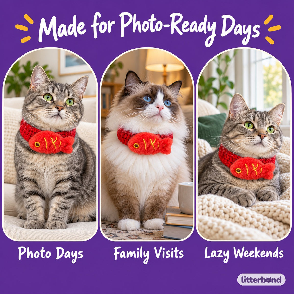 Red Fish Crochet Collar for Photos on a cat at home