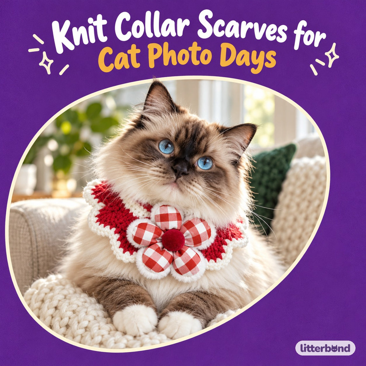 Red Knit Collar Scarves for Photos on a cat