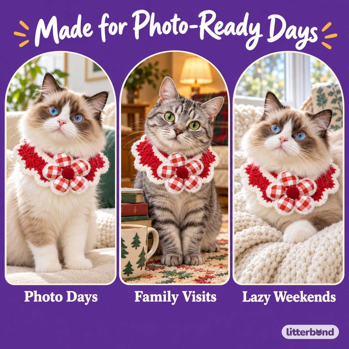 Red Knit Collar Scarves for Photos on a cat at home