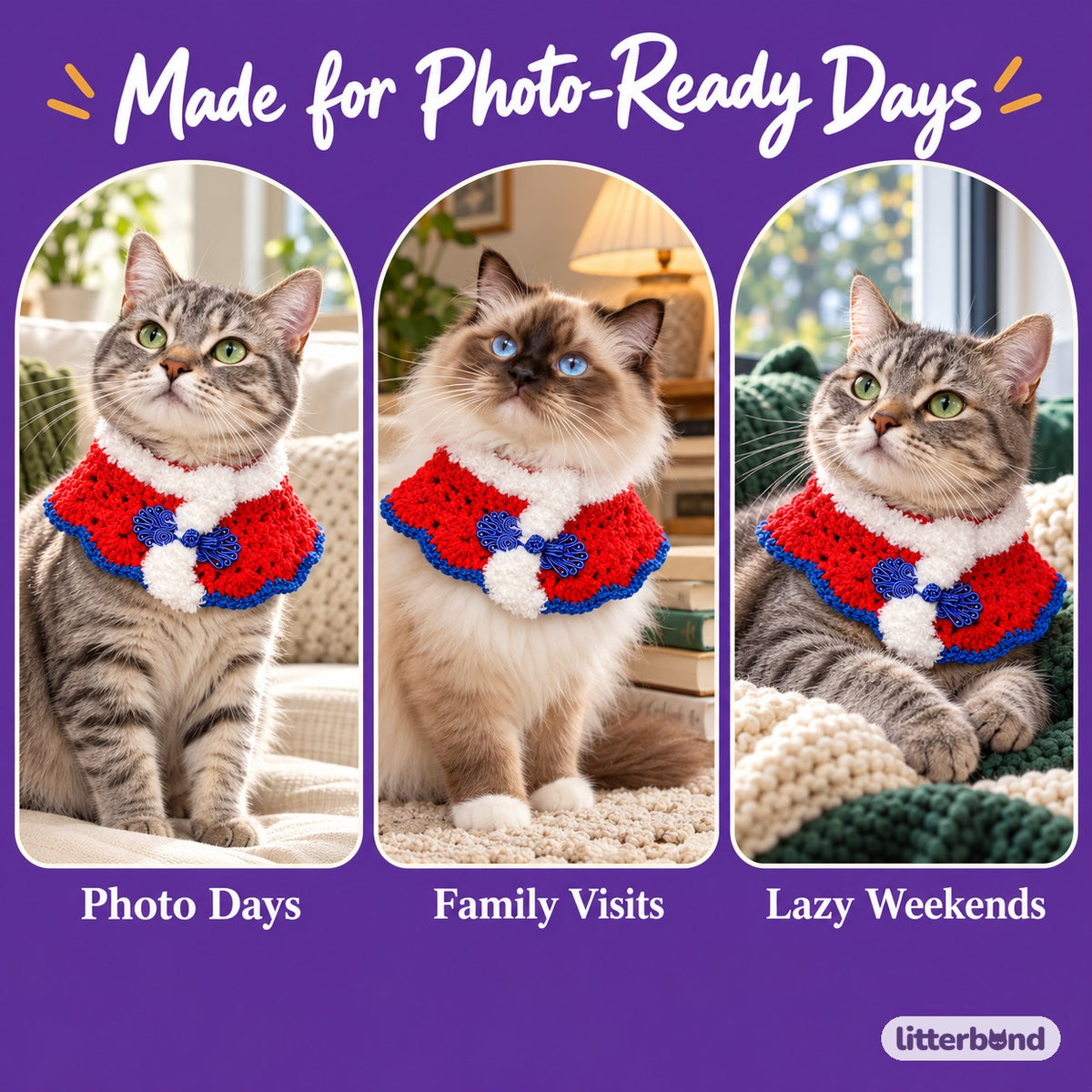 Crocheted Ruyi Neck Collar for Cat Photos on a cat at home