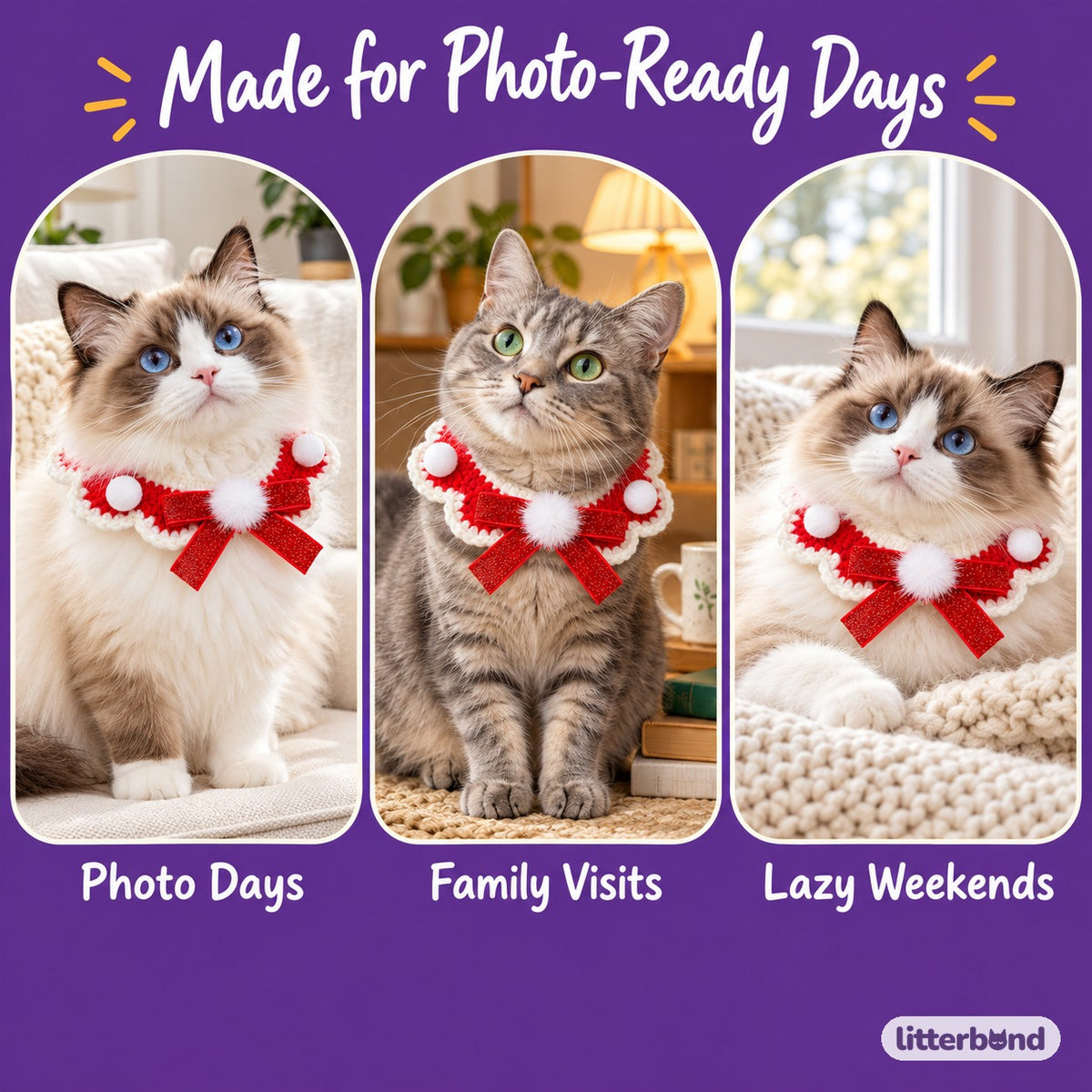 Scalloped Yarn Bow Collar on a cat at home