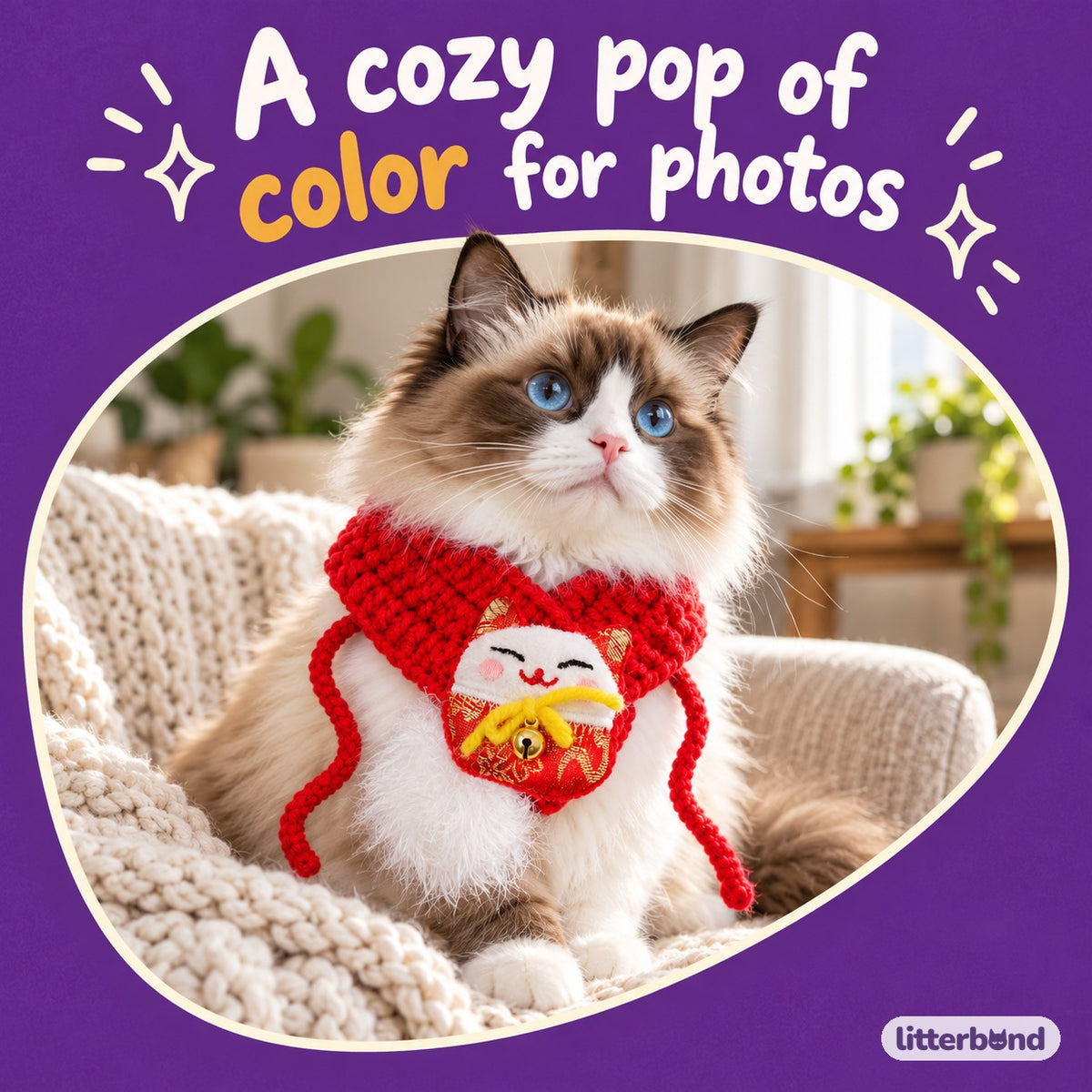 Red Knit Scarf Collar for Photos on a cat