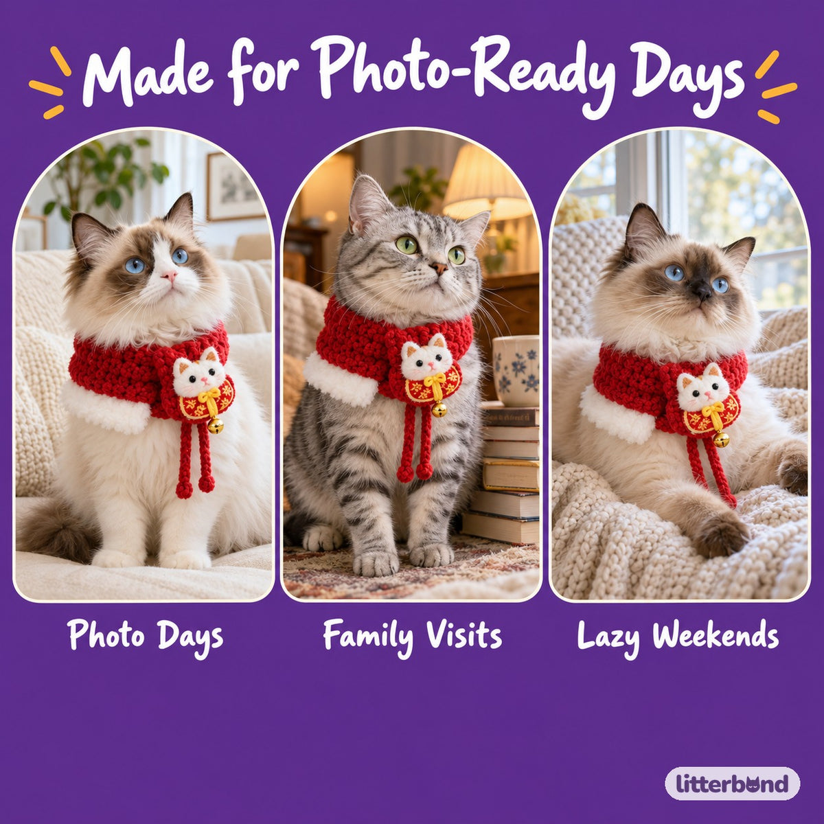 Red Knit Scarf Collar for Photos on a cat at home