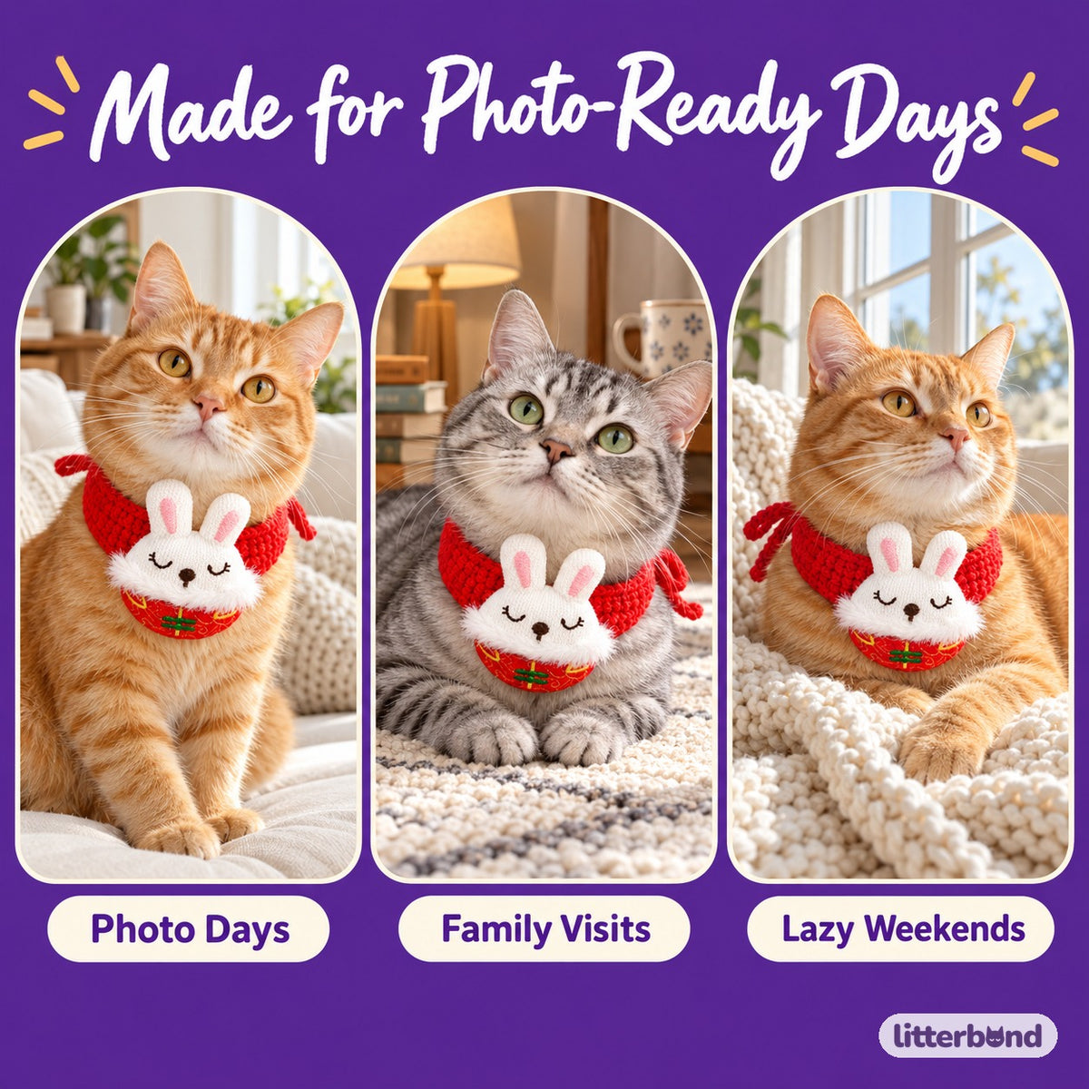 Red Applique Tie Collars on a cat at home