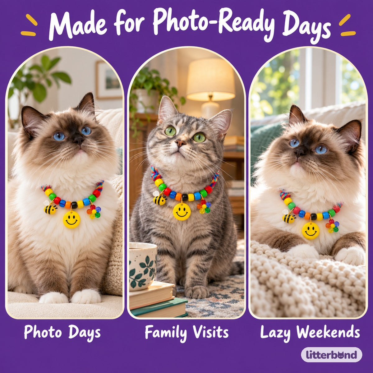 Rainbow Charm Braided Necklace on a cat at home