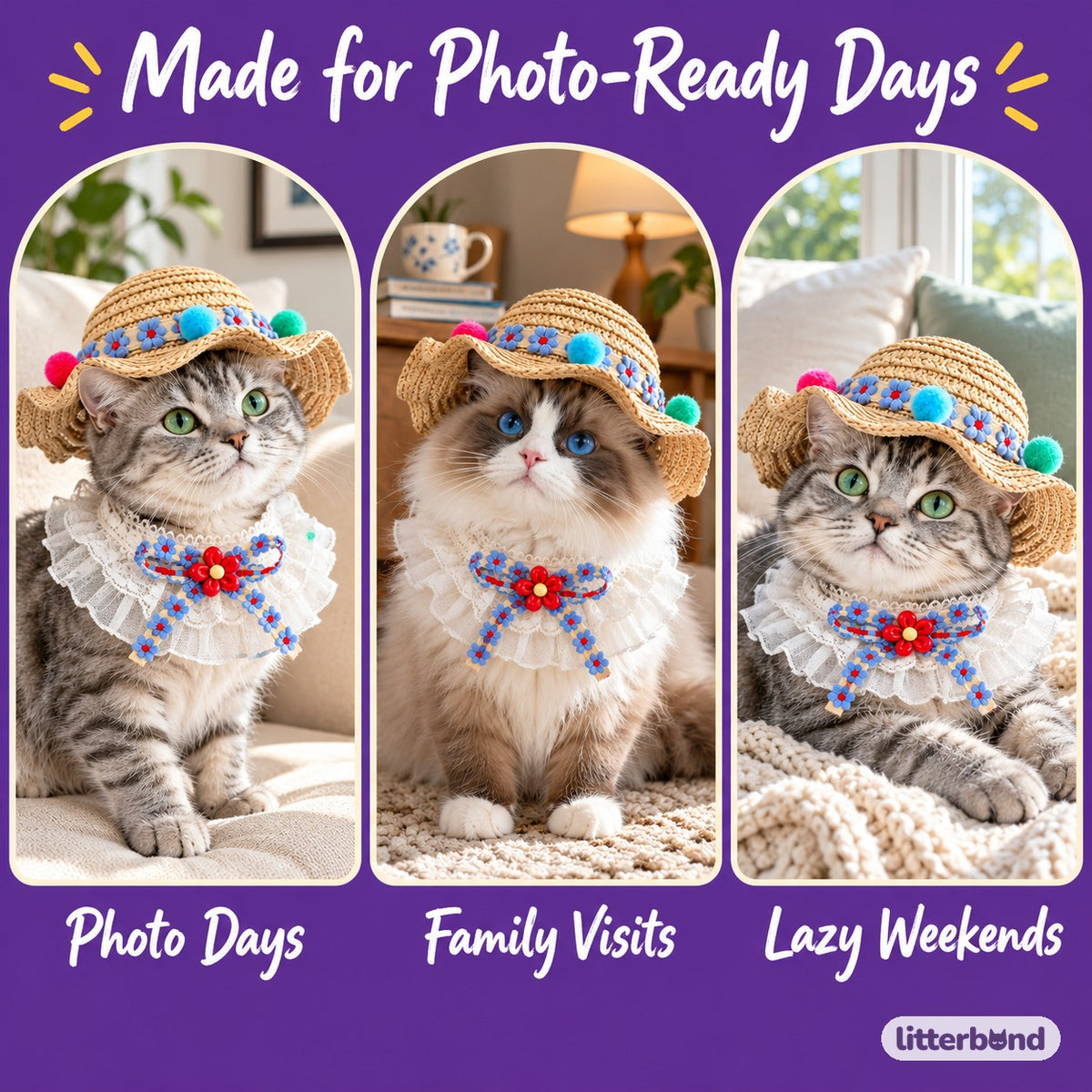 Straw Hat Bib Set Photos on a cat at home
