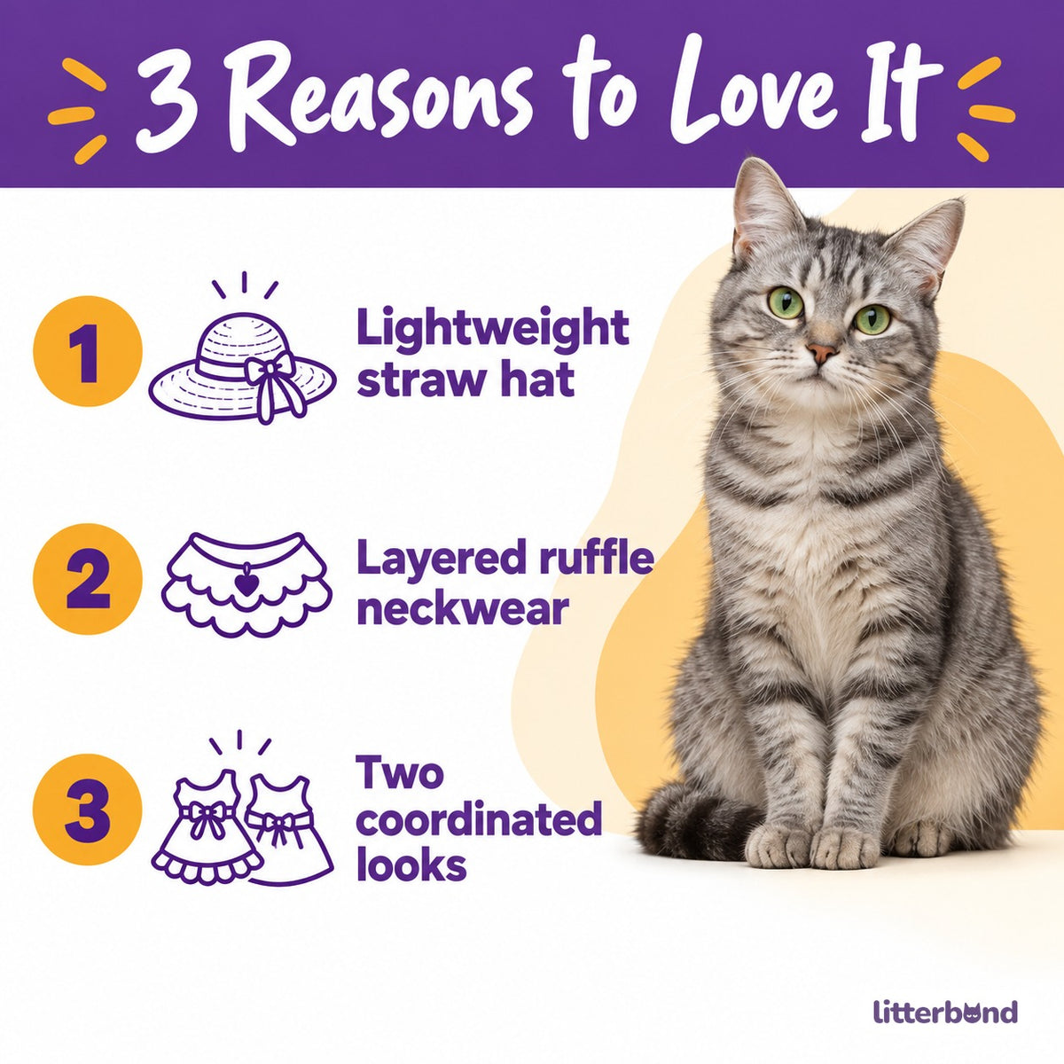 Lace Straw Hat & Bow Bib Set for Cat Photos - 5 reasons to love it