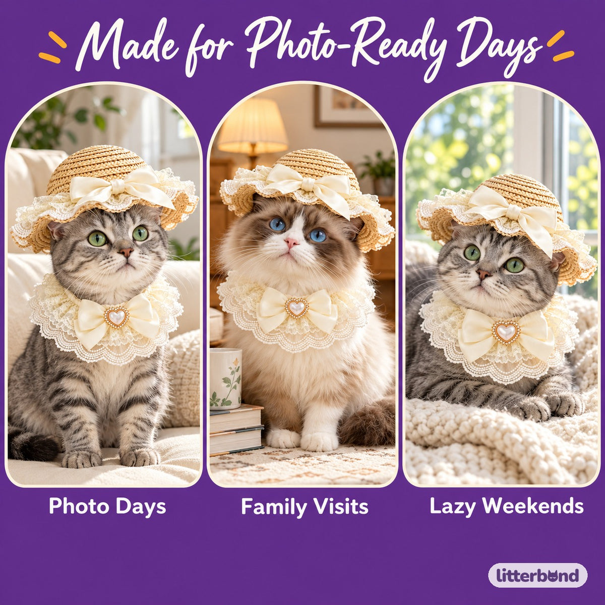 Lace Straw Hat & Bow Bib Set for Cat Photos on a cat at home