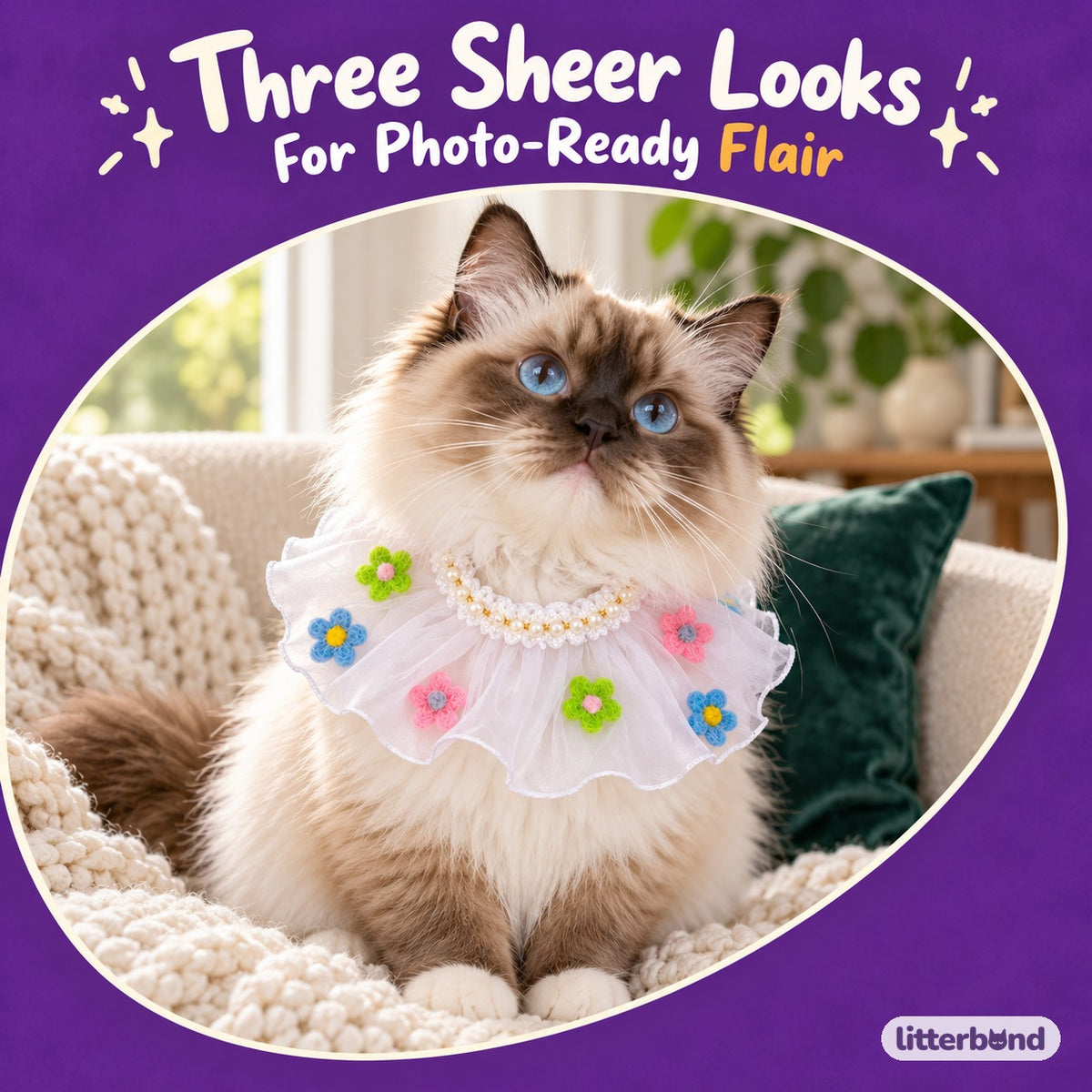 Sheer Ruffle Photo Neck Collar on a cat