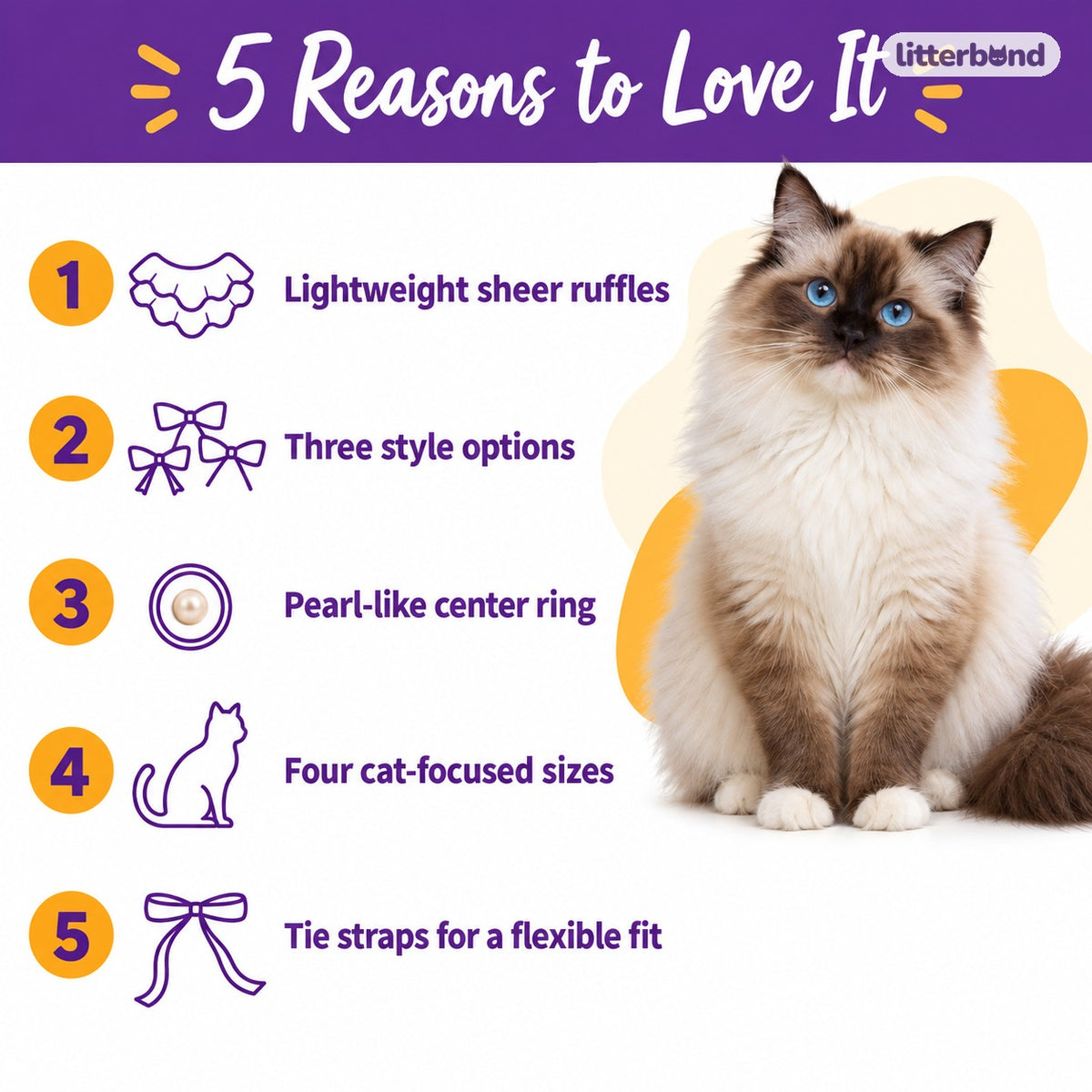 Sheer Ruffle Photo Neck Collar - 5 reasons to love it