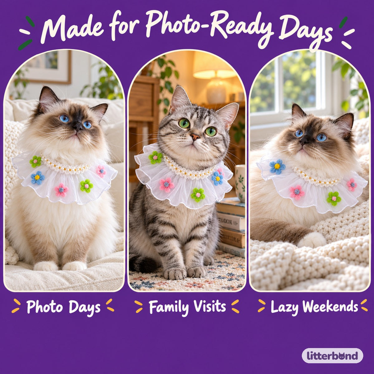 Sheer Ruffle Photo Neck Collar on a cat at home