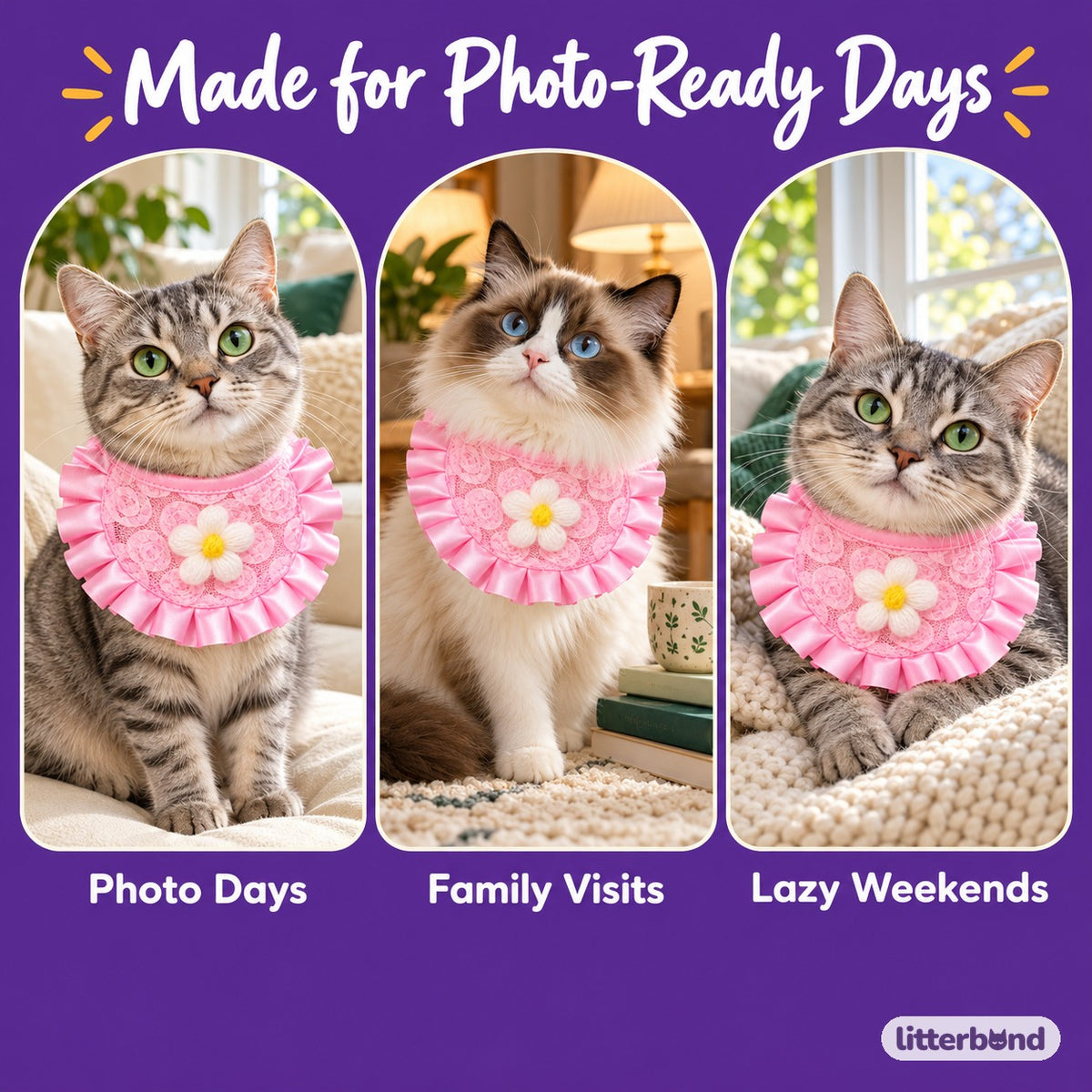 Pink Lace Flower Bib Collar on a cat at home