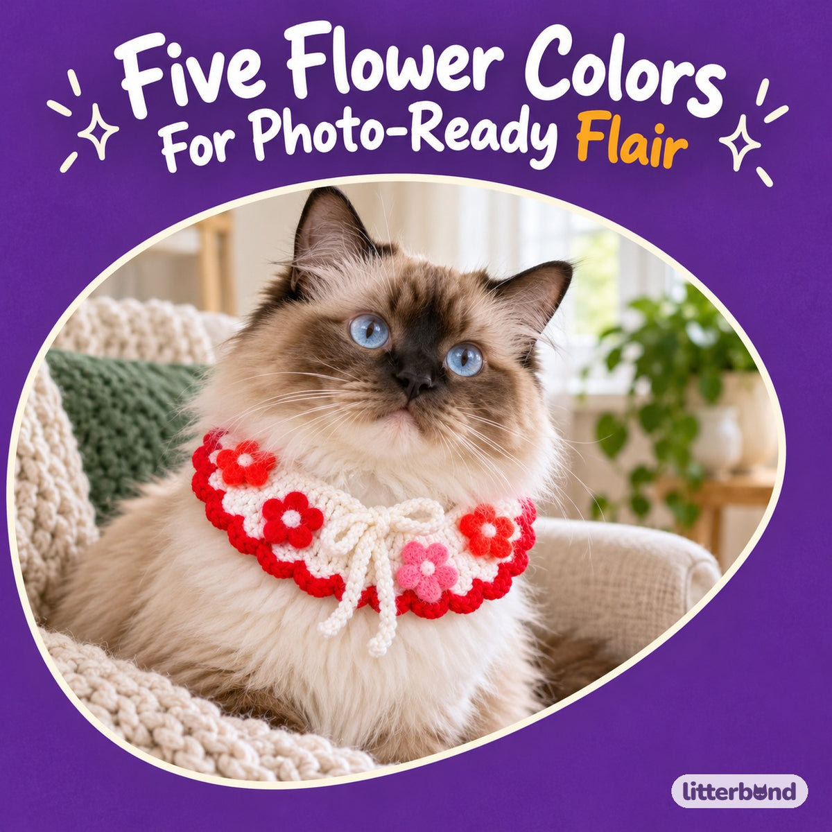 Summer Crochet Flower Collar on a cat