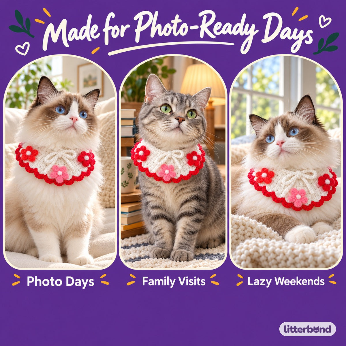 Summer Crochet Flower Collar on a cat at home