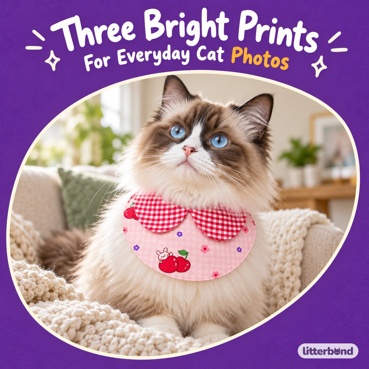Gingham Bib Collar for Photos on a cat