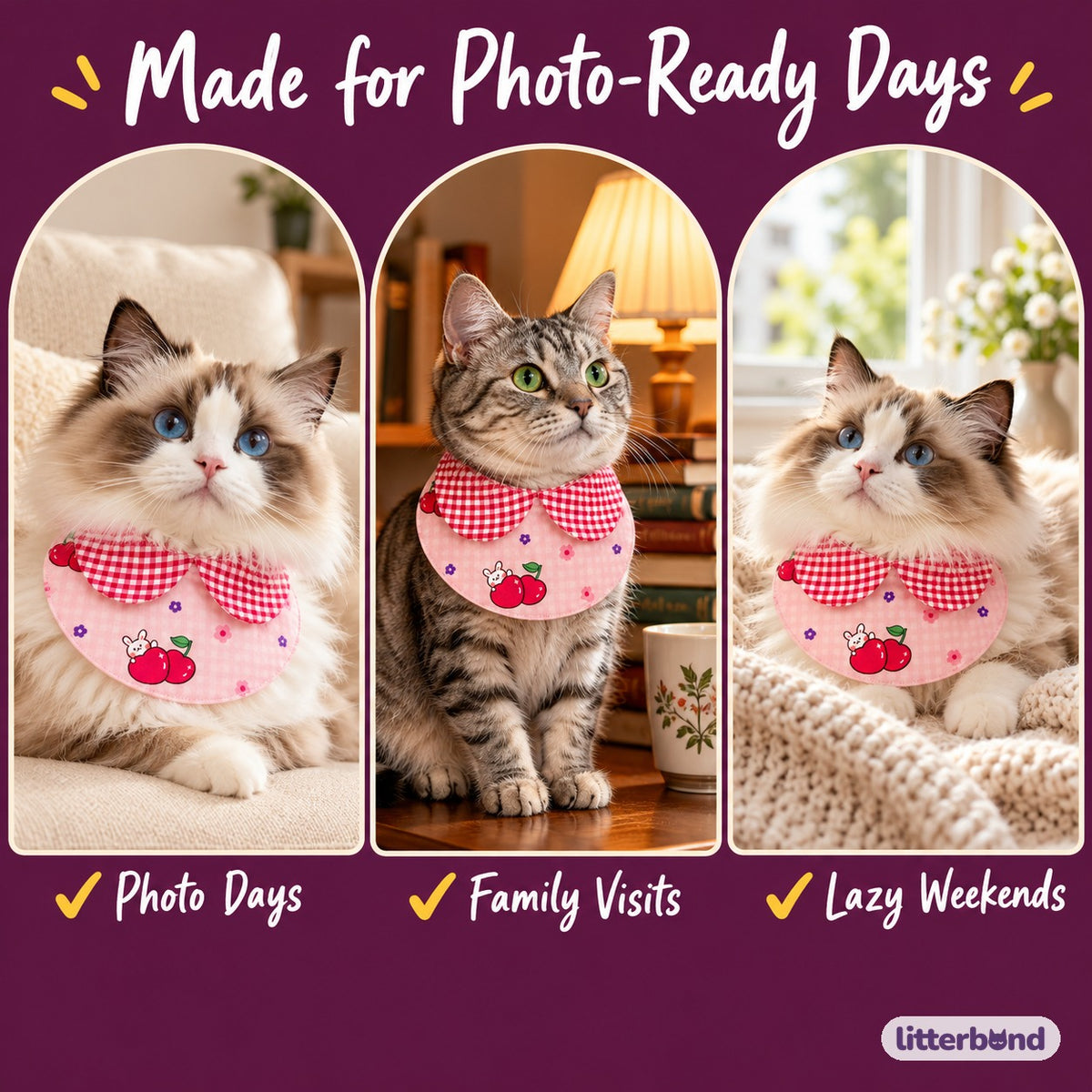 Gingham Bib Collar for Photos on a cat at home