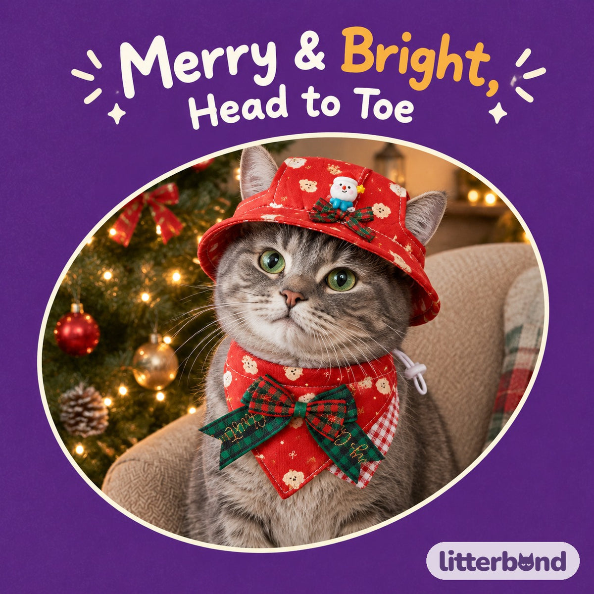 Christmas Bucket Hat & Bandana Set on a cat