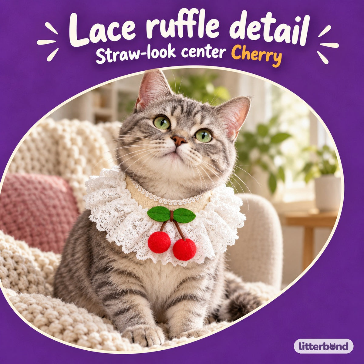 Cherry Lace Straw Collar on a cat