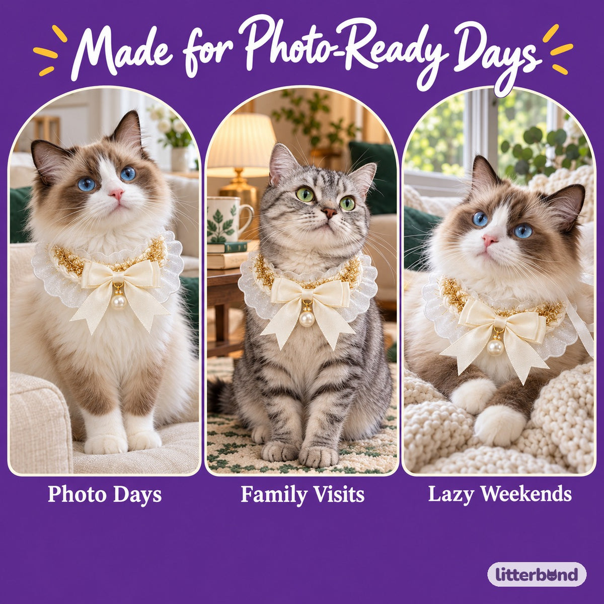 Sheer Pearl Bow Bib on a cat at home
