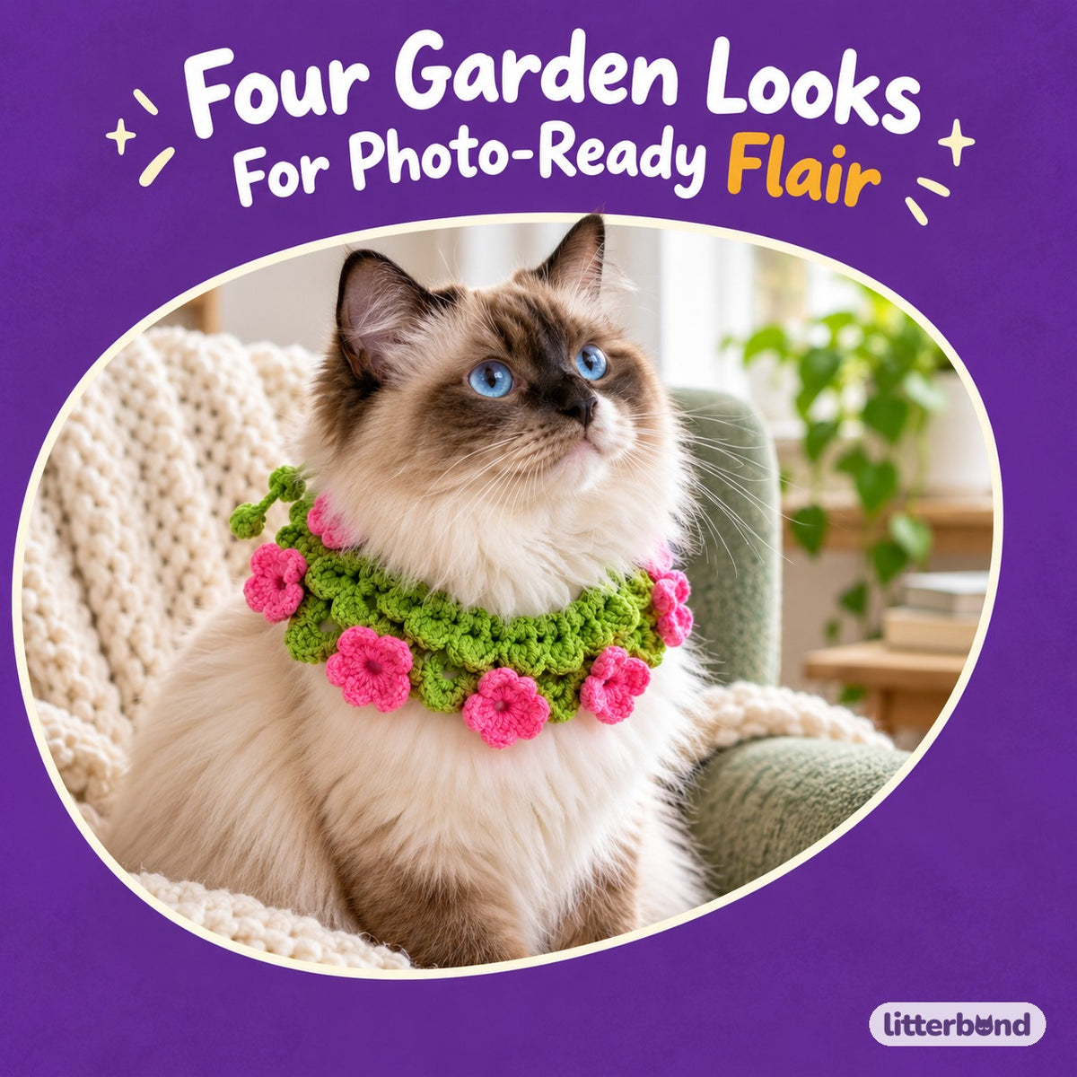 Crochet Garden Collars for Photos on a cat