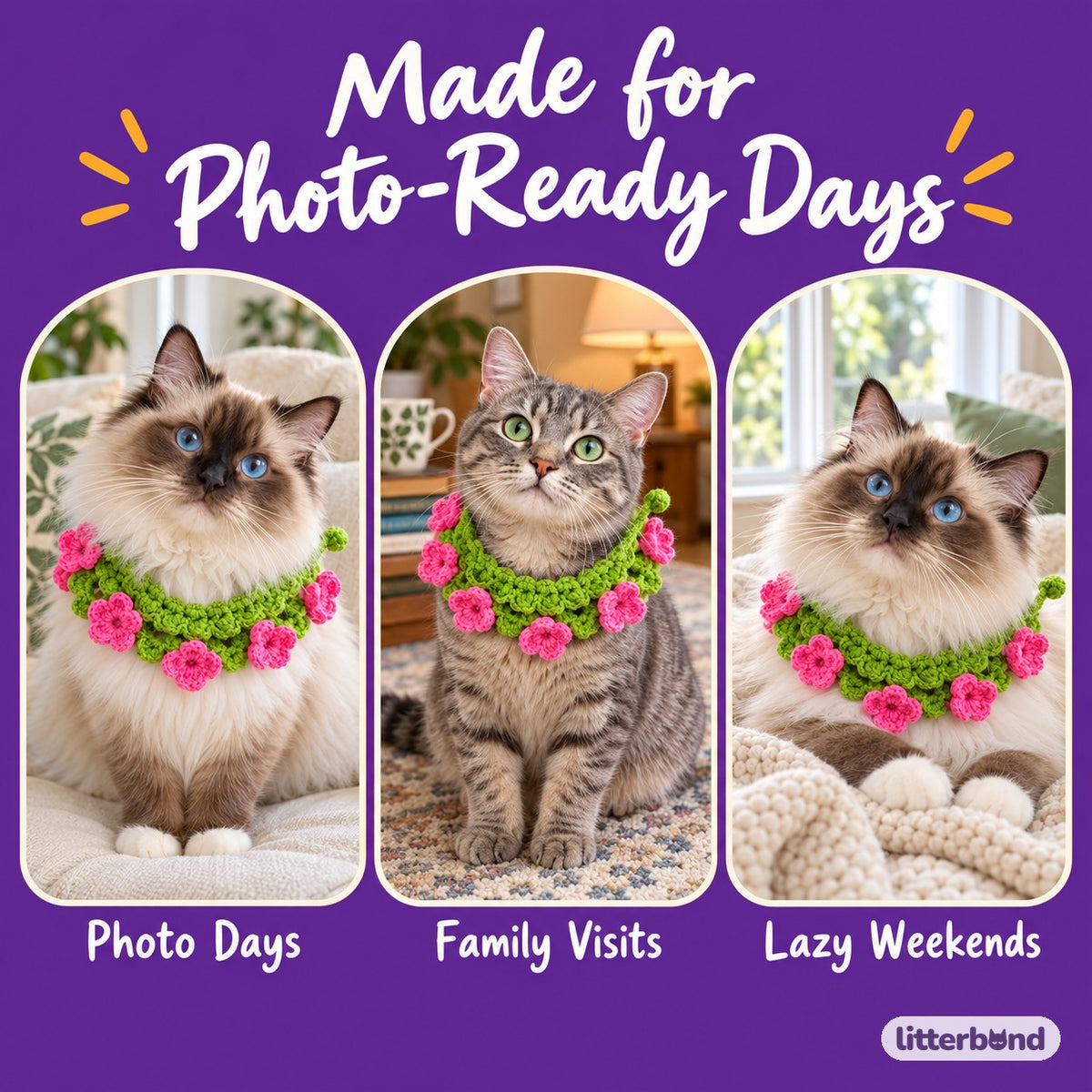 Crochet Garden Collars for Photos on a cat at home