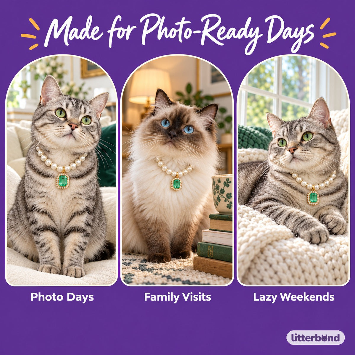 Jeweled Pearl Photo Necklace on a cat at home