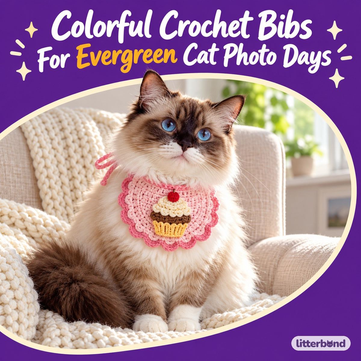 Crochet Appliqué Bibs for Photos on a cat