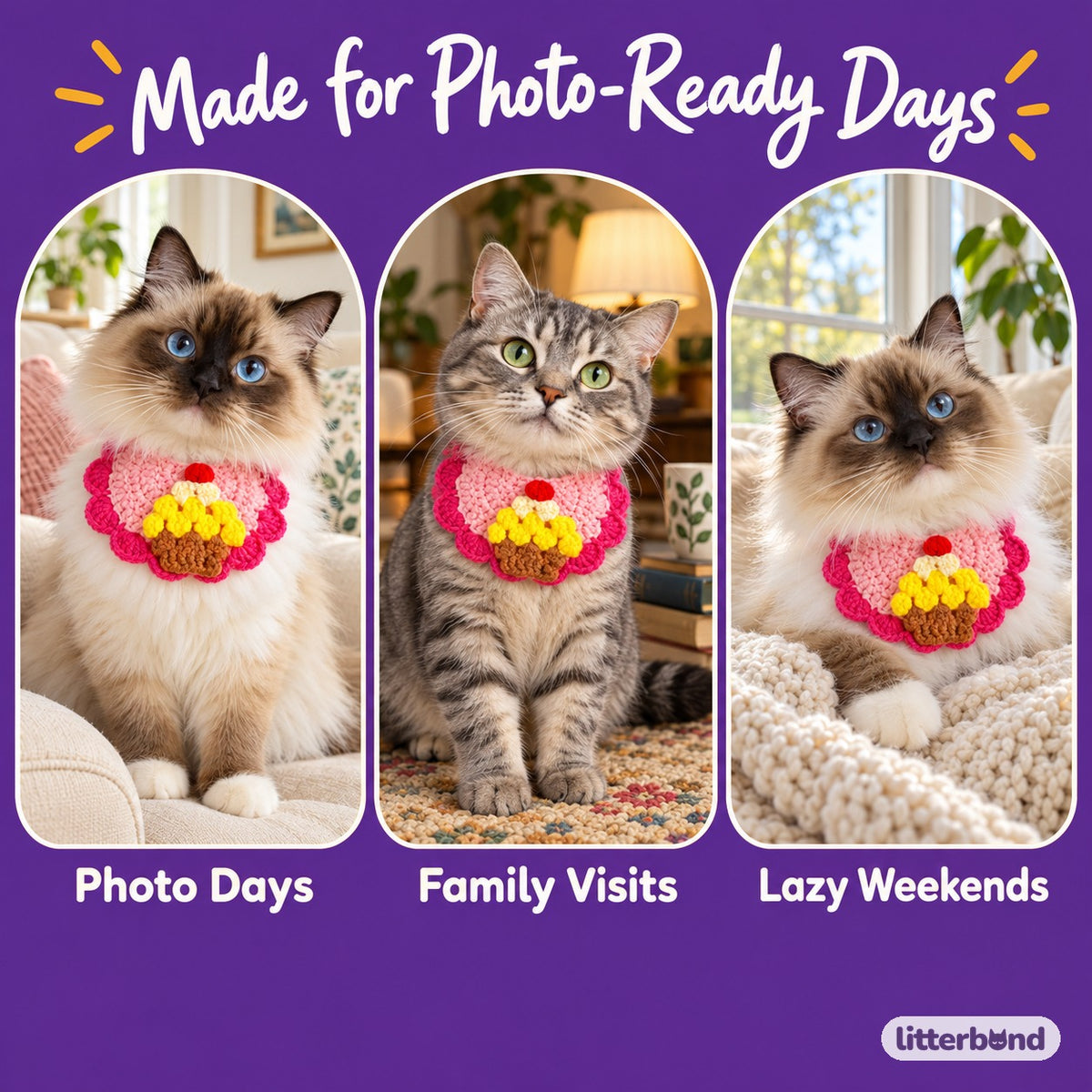 Crochet Appliqué Bibs for Photos on a cat at home