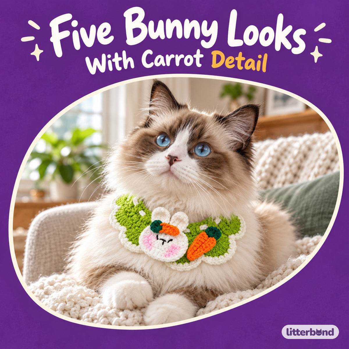 Bunny Carrot Crochet Collar on a cat
