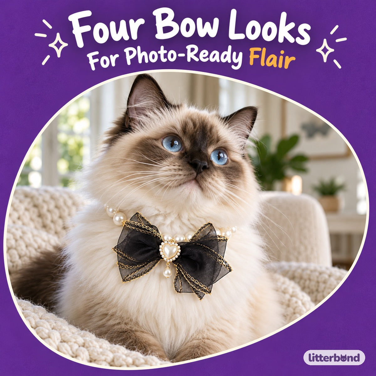 Pearl Bow Photo Collar on a cat