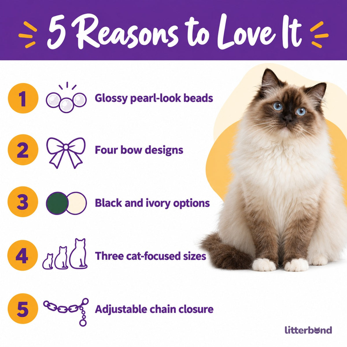 Pearl Bow Photo Collar - 5 reasons to love it