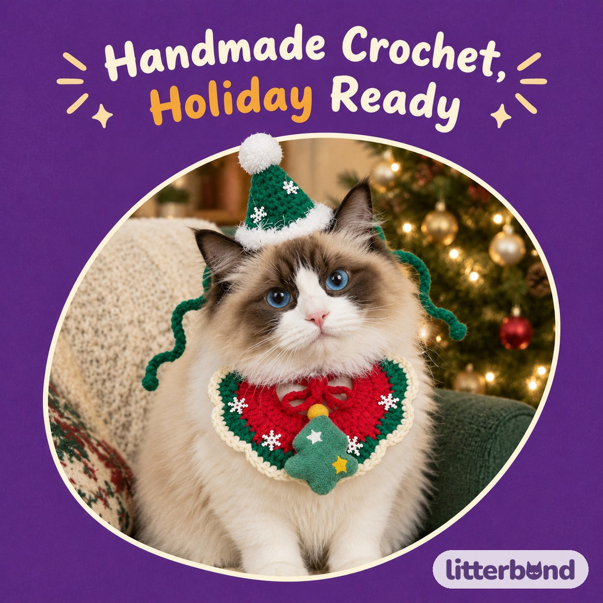Crochet Christmas Collar & Hat Set on a cat