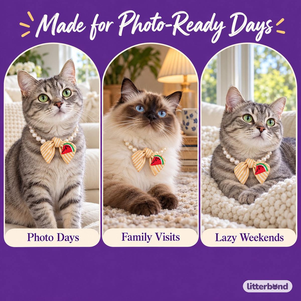 Fruit Bow Pearl Necklace for Photos on a cat at home