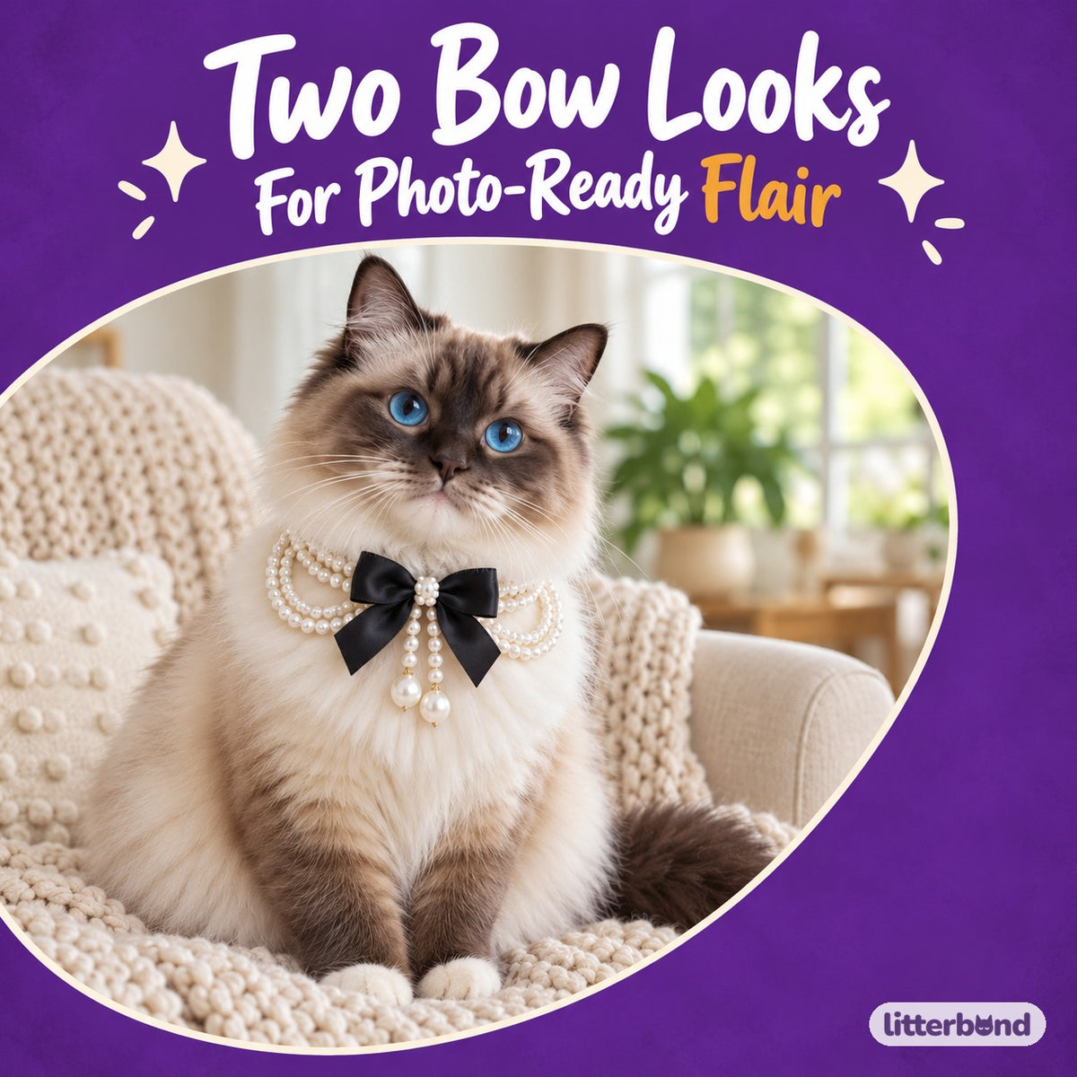 Black Bow Pearl Photo Necklace on a cat
