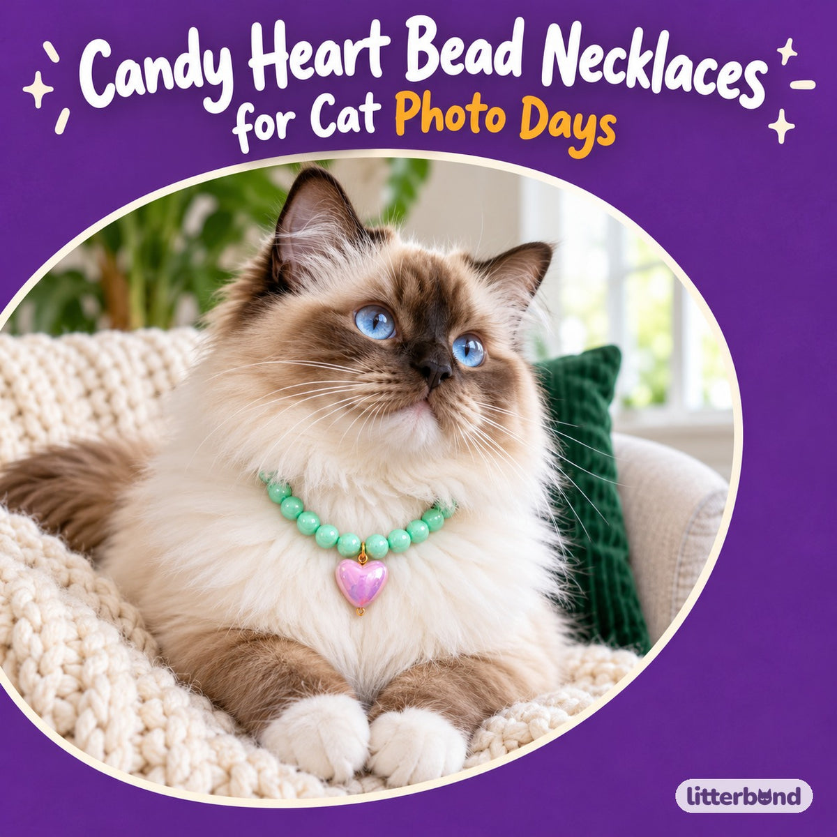 Candy Heart Bead Necklace for Photos on a cat